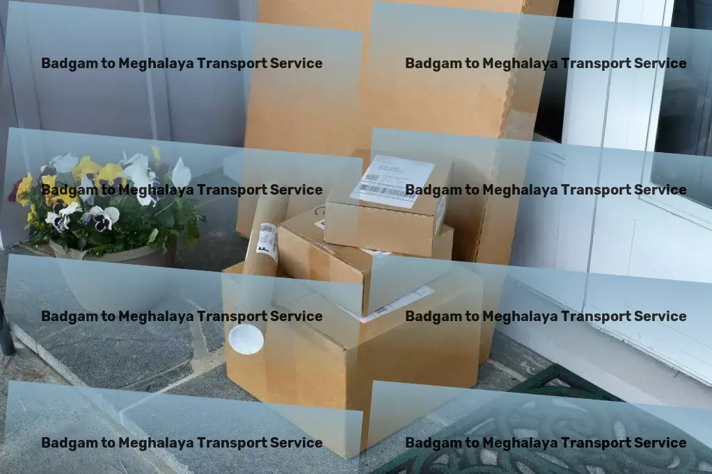 Badgam to Meghalaya Transport Customized goods shipment services