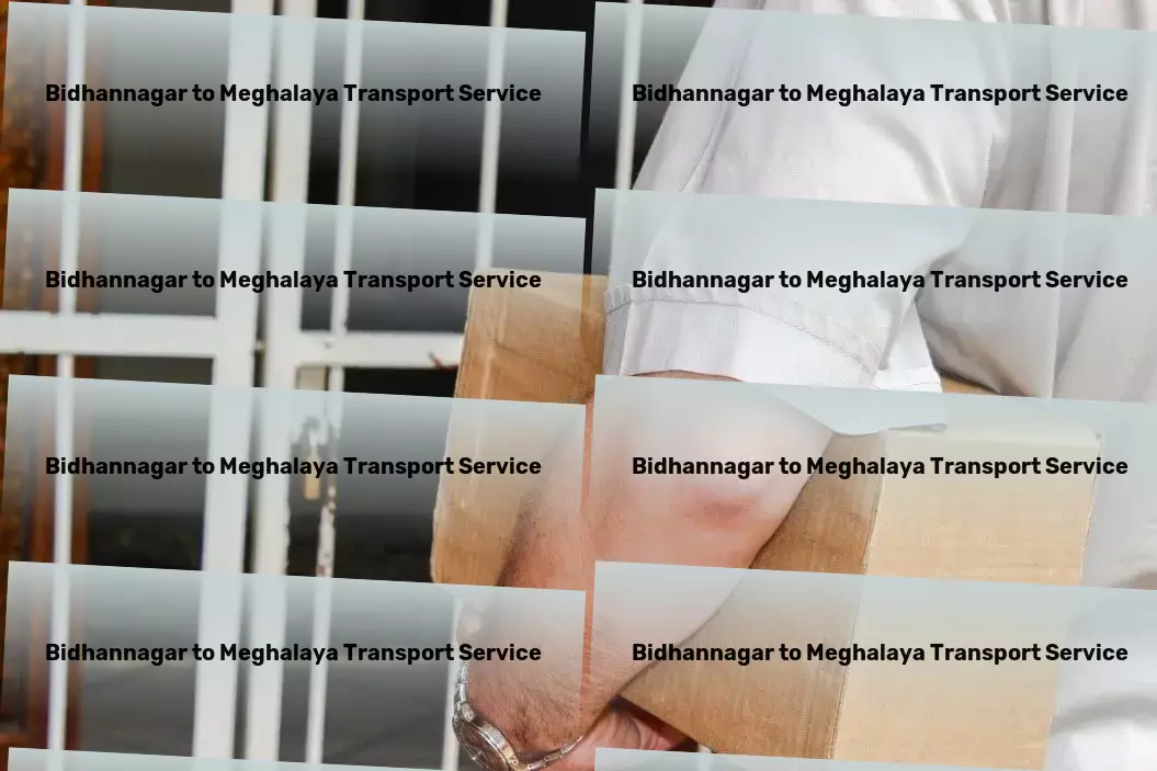 Bidhannagar to Meghalaya Transport Heavy load logistics services