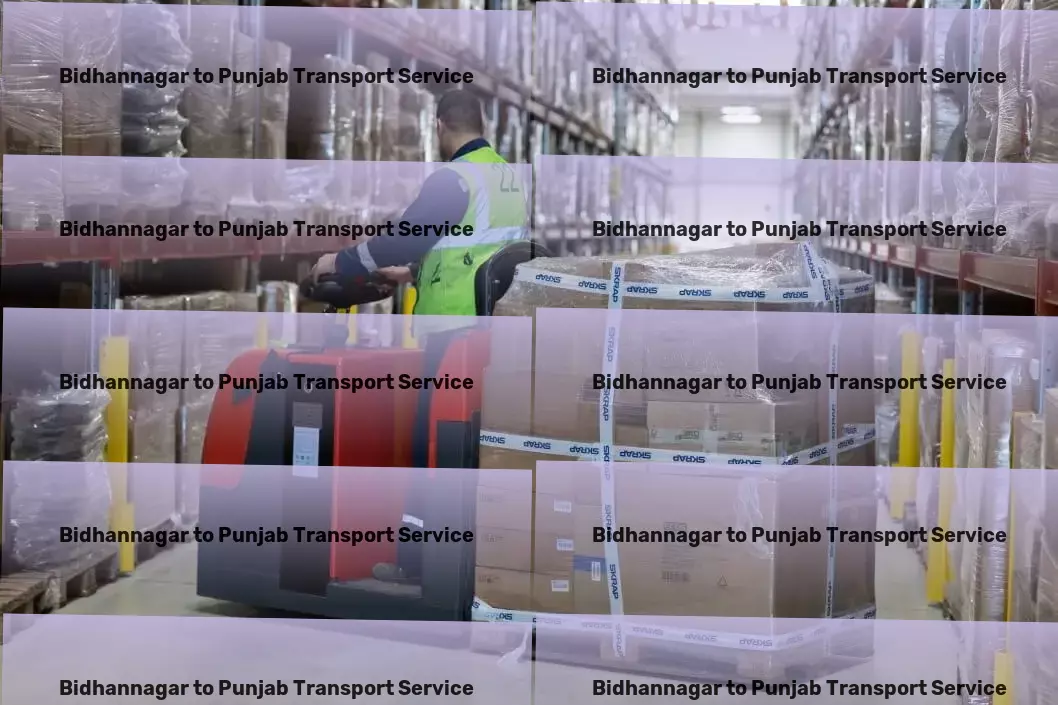 Bidhannagar to Punjab Transport The trusted partner for all your transportation needs! - Parcel Freight Services