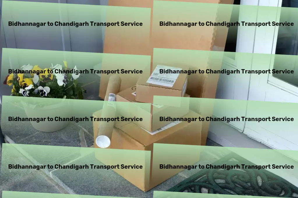 Bidhannagar to Chandigarh Transport Local transport logistics