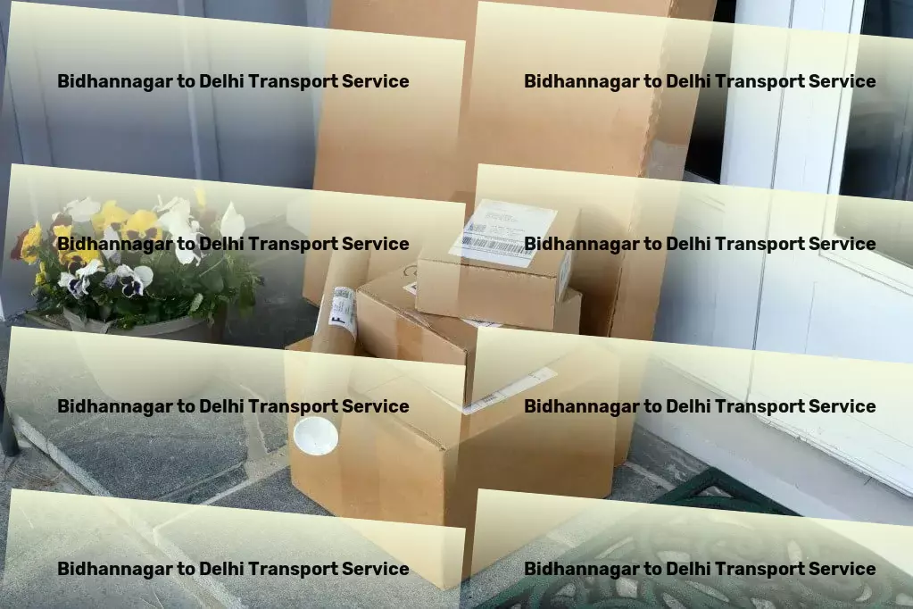 Bidhannagar to Delhi Transport Small load transport