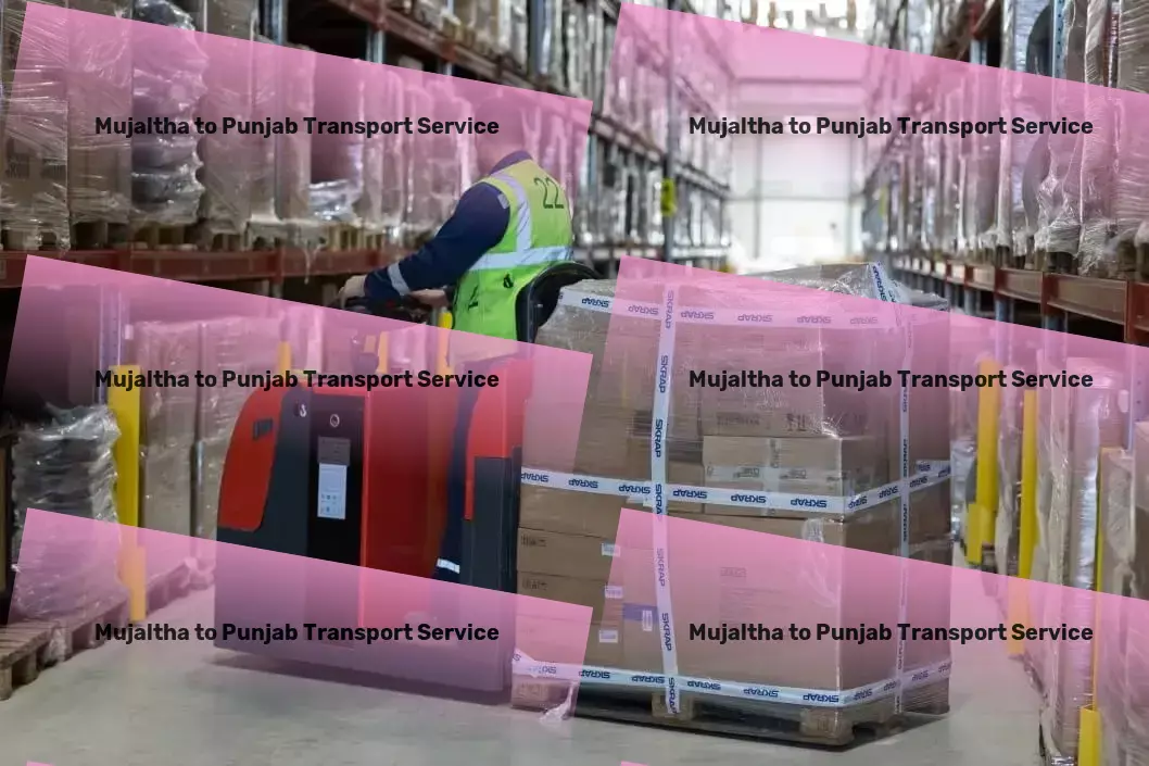 Mujaltha to Punjab Transport City-to-city goods logistics