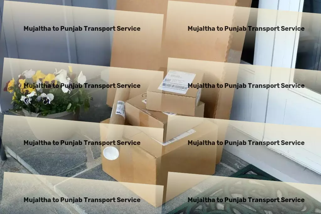 Mujaltha to Punjab Transport Navigate your city smarter and faster! - Transit furniture services