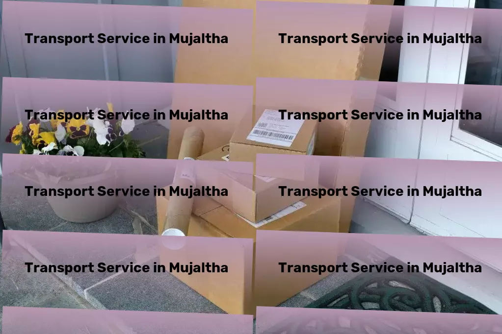 Household Goods Transport in Mujaltha, Rest of India (IND) Commercial logistics provider