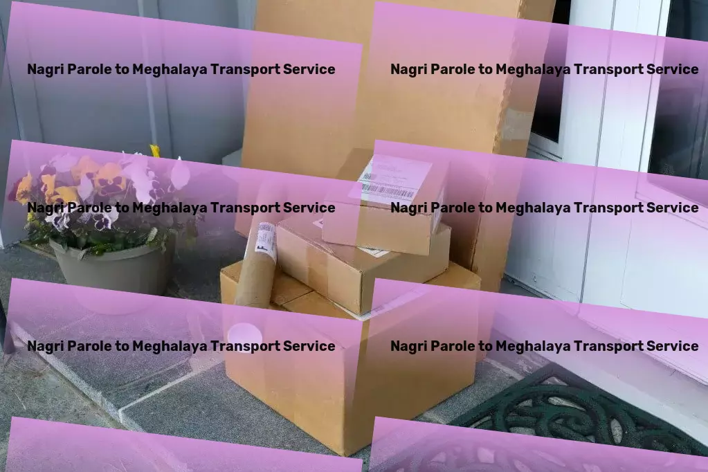 Nagri Parole to Meghalaya Transport Your partner in achieving Indian logistics excellence! - Long-distance freight carriage