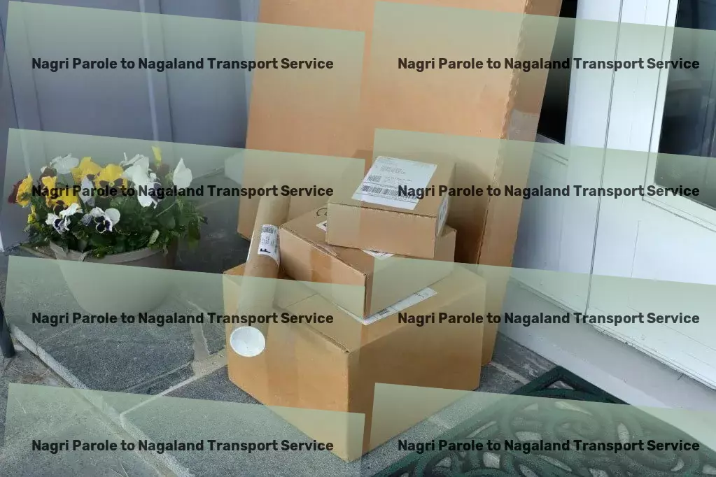 Nagri Parole to Nagaland Transport Efficiency and reliability - Our promise for Indian transportation! - National transport operations