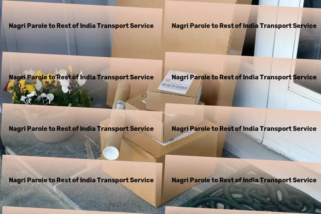 Nagri Parole to Rest Of India Transport Distribution services