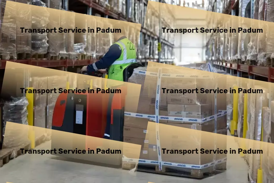 Courier And Parcel in Padum, Rest of India (IND) Local transport solutions