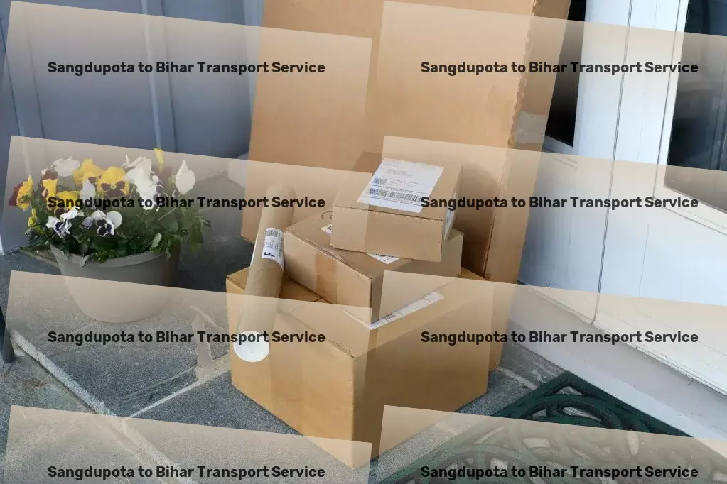 Sangdupota to Bihar Transport Nationwide parcel delivery