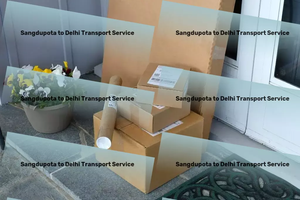 Sangdupota to Delhi Transport Industrial package forwarding