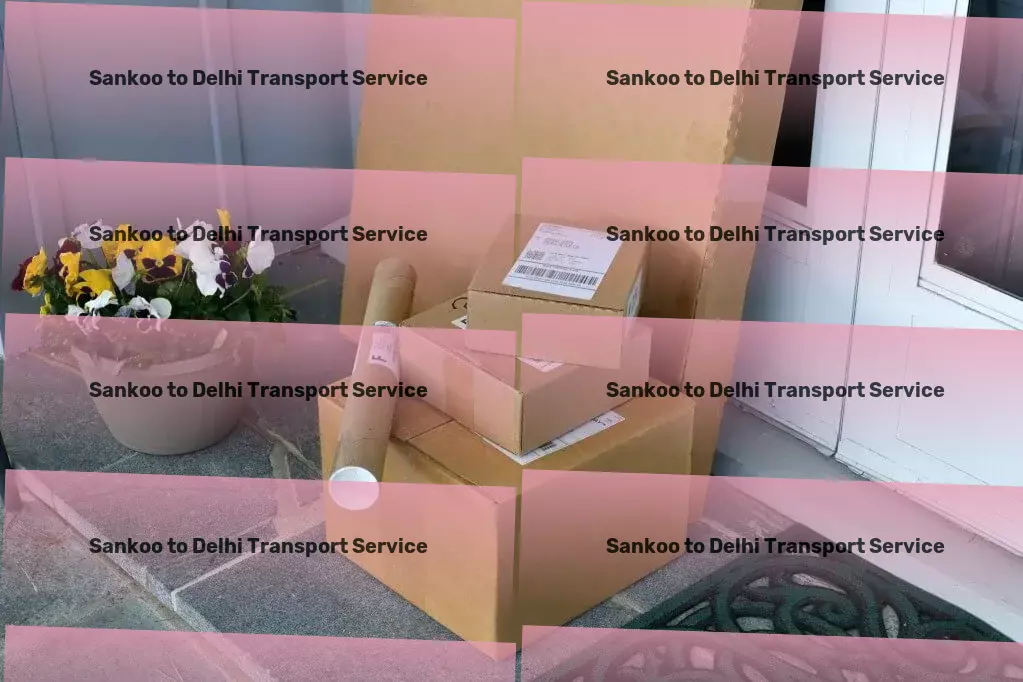 Sankoo to Delhi Transport Full-scale road freight