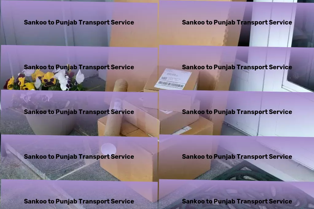 Sankoo to Punjab Transport Efficient transport operations