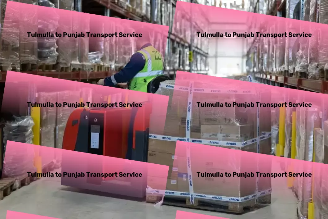 Tulmulla to Punjab Transport Nationwide goods logistics