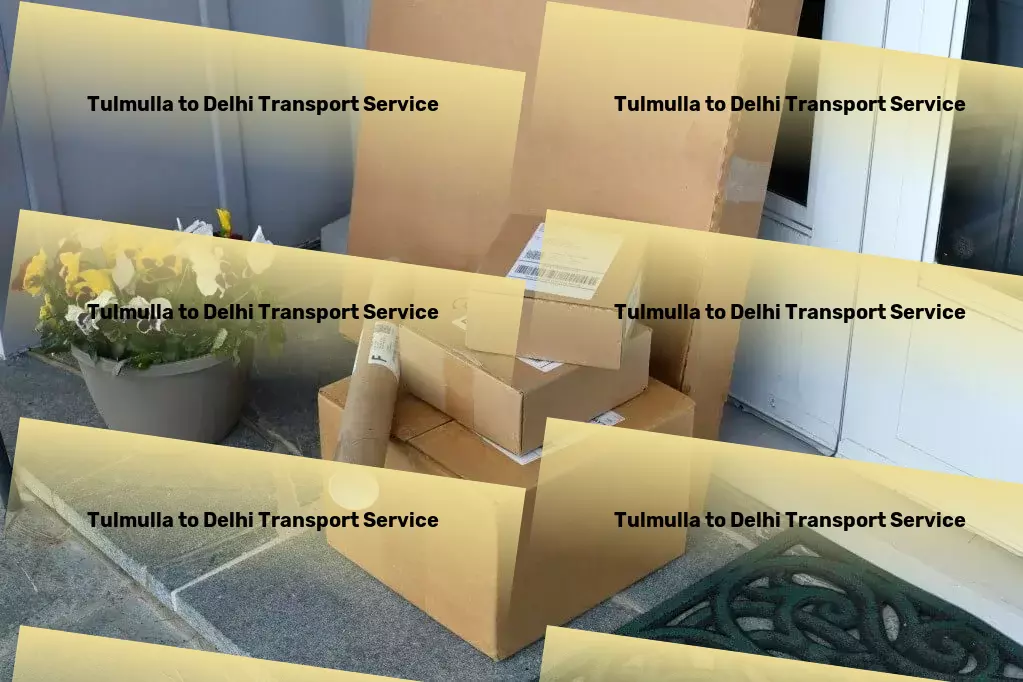 Tulmulla to Delhi Transport Full-scale logistics services