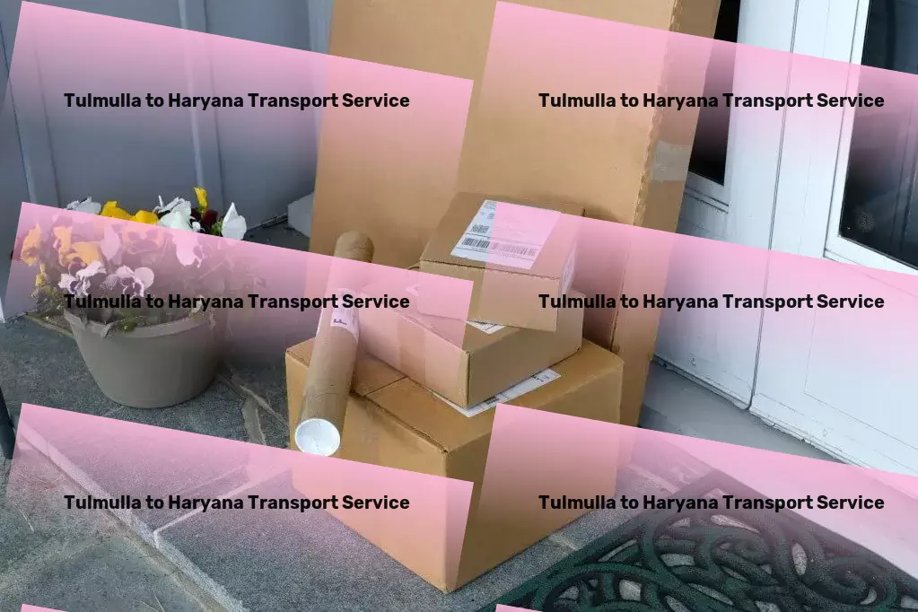 Tulmulla to Haryana Transport Professional cargo logistics