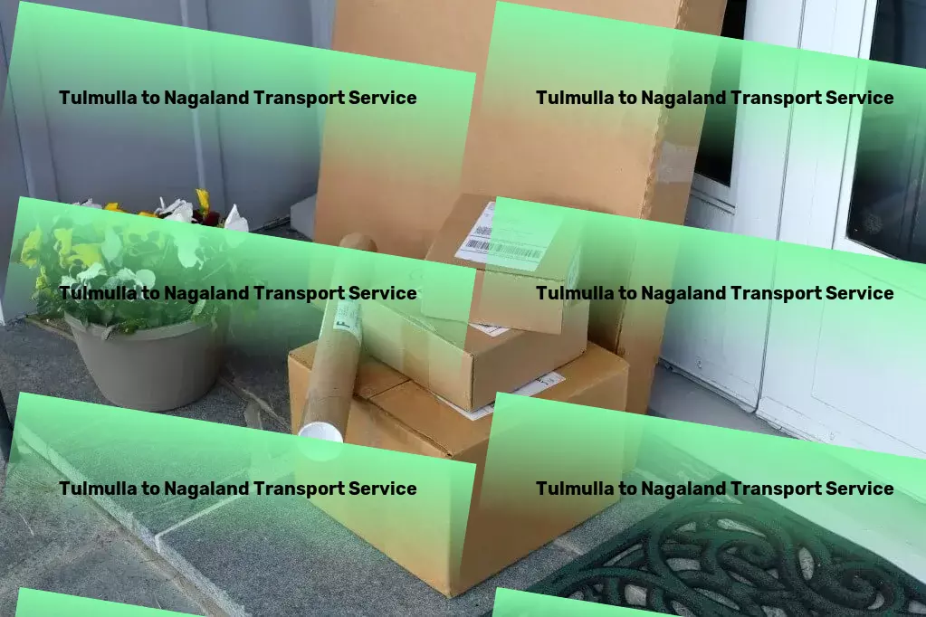 Tulmulla to Nagaland Transport Secure freight services