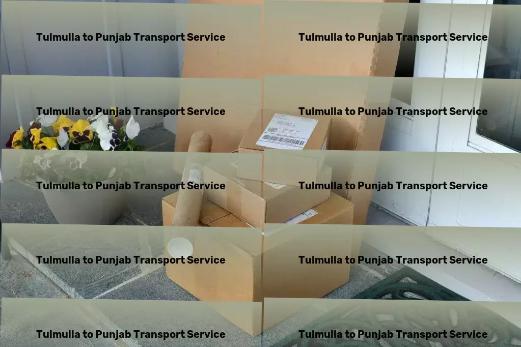 Tulmulla to Punjab Transport Transport management services