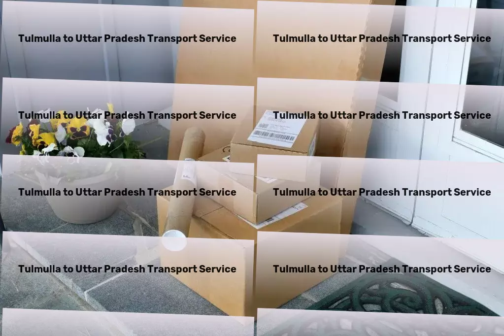 Tulmulla to Uttar Pradesh Transport National logistics services